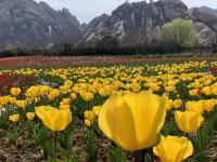 Suiping chaya mountain Business Hotel