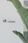 Wuzhen Xizhahou·HOME Hotel Hotels near Wu Village