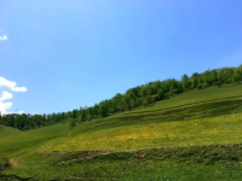 隴縣風情農家樂