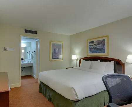 Vagabond Inn Executive SFO