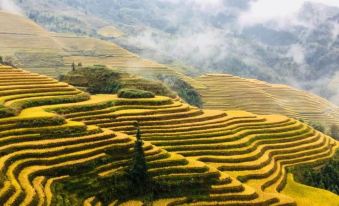 Guzhuang Family Hotel