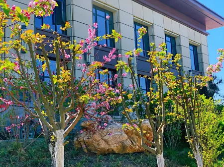 Yue Lan Hotel (Shijiazhuang Zhengding International Convention and Exhibition Center) Отели в г. Чжэндин