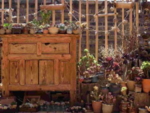 泸沽湖泸漾别院 - 花园