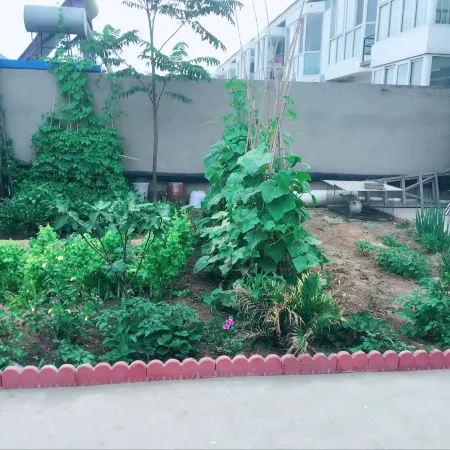 Laoting No.18 Farm House