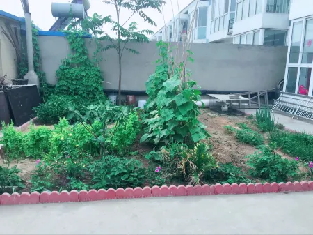 Laoting No.18 Farm House Отели в г. Лэтин