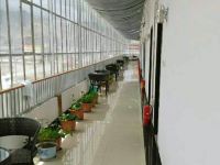 措勤高原印象酒店 - 公共区域