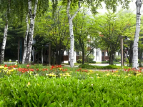 โมนา ยงเพียง โรงแรมในพย็องชัง