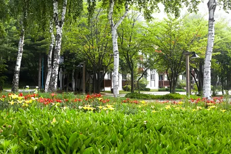 Mona Yongpyong Отели рядом с достопримечательностью «MonaYongPyong - Ski Resort»