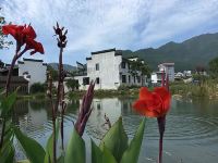 黟县何府乡村酒店 - 酒店景观