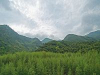 莫干山氧泉山居 - 酒店景观