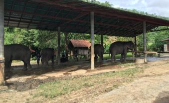Tunglakorn Elephant Camp and Resort