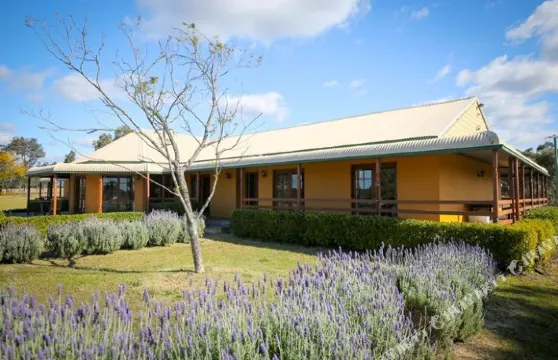 葡萄園莊園公寓,布洛克