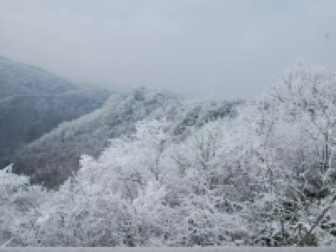 318连锁汽车旅馆(旺苍米仓山自驾游营地店) - 酒店附近