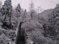 九华山静娴山庄 - 酒店附近