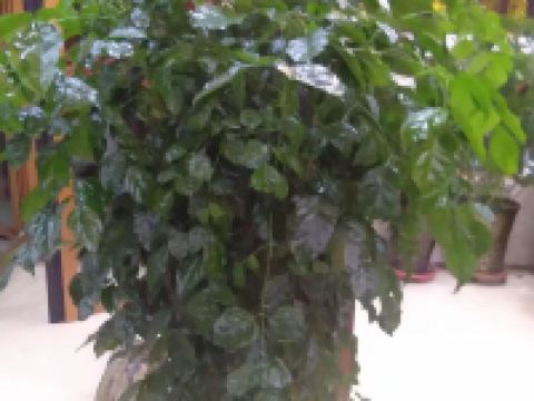 临夏伊隆商务宾馆