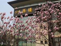 青岛锦茂宾馆 - 酒店景观