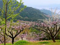 千岛湖仟陌间山野度假民宿 - 酒店附近