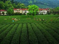 杭州原研斋茶园民宿 - 酒店附近