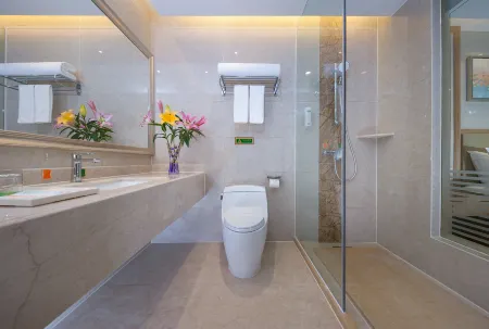 Vienna Hotel (Qingyuan Zhongshan Park Century Plaza)