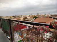 Aji Verde Hostel - วิว
