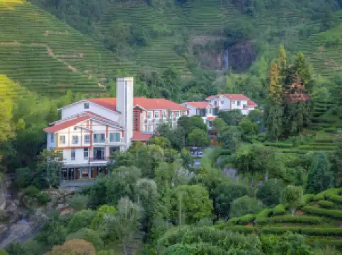 Wuyishan Jiaye Shanshe (Fulian Tea Manor Store)