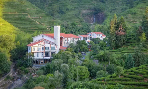 Wuyishan Jiaye Shanshe (Fulian Tea Manor Store)