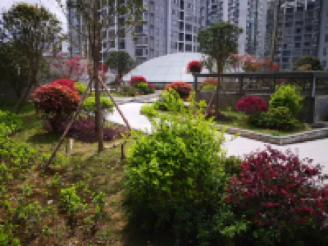 Bijie Jinpin Apartment Hotel