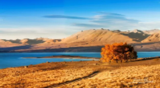 Tekapo1929 Lakefront Villa Hotels in Lake Tekapo