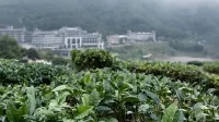 Xinxing Xiangshun Xiangwo Hotel - Romantic
