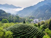 石台云里居农庄 - 酒店景观