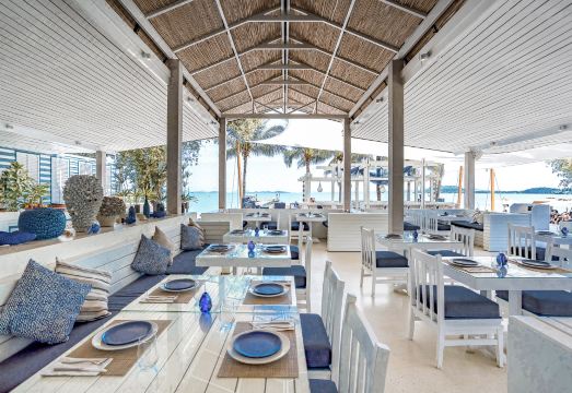 5. 바르셀로 코코넛..