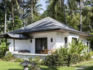 더 라차 SHA 플러스+