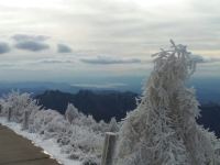 雾灵山畔山墅农家小院 - 葡萄院标准间