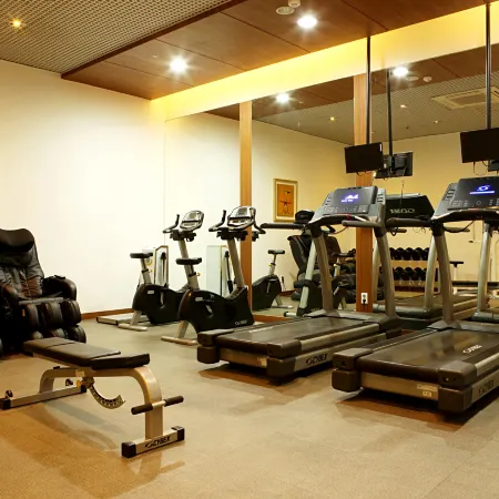Ibis Ambassador Suwon
