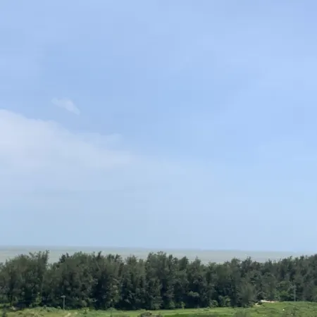 Dongxing Chengfeng Hotel