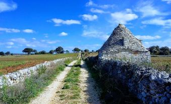 a stone hut is situated next to a road , with trees and a clear blue sky in the background at Hotel Astoria