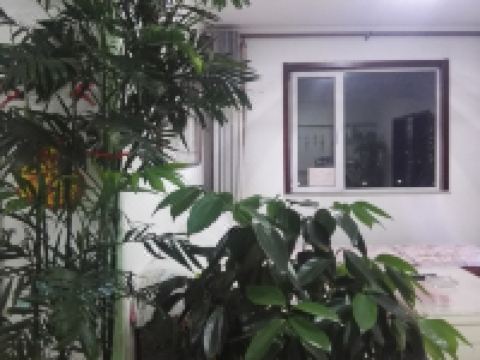 乐亭一线海景民宿 - 其他