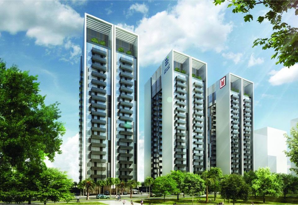 2. 몬트 로즈 - ..