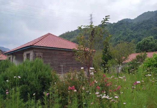 셰자완 리조트 정책