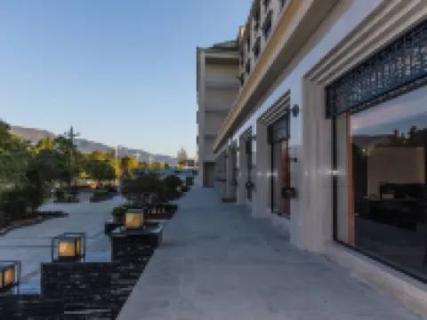 騰沖開臣溫泉酒店 騰衝酒店