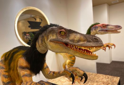 헨 나 호텔 가나자와 고린보의 쾌적한 객실 내부