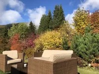 Terra - the Magic Place