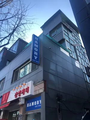 Hamory Guesthouse Dongdaemun - Pensionat