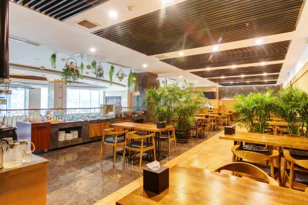 SMIR International Hotel Отели в г. Линьфэнь