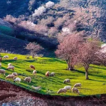 IU Hotel Yining Shanghai City