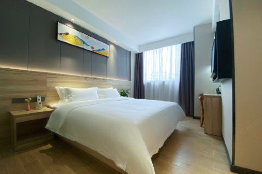 文星酒店广州中山三院华师地铁站店