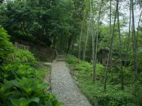 千岛湖仟陌间山野度假民宿 - 花园