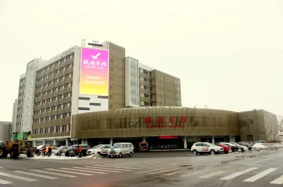 Shenyang Airport Hotel Hotels in Airport