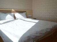 呼和浩特宝晨宾馆 - 优享舒适大床房