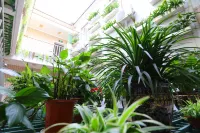 Wuzhen Flower House Hotels in Tongxiang